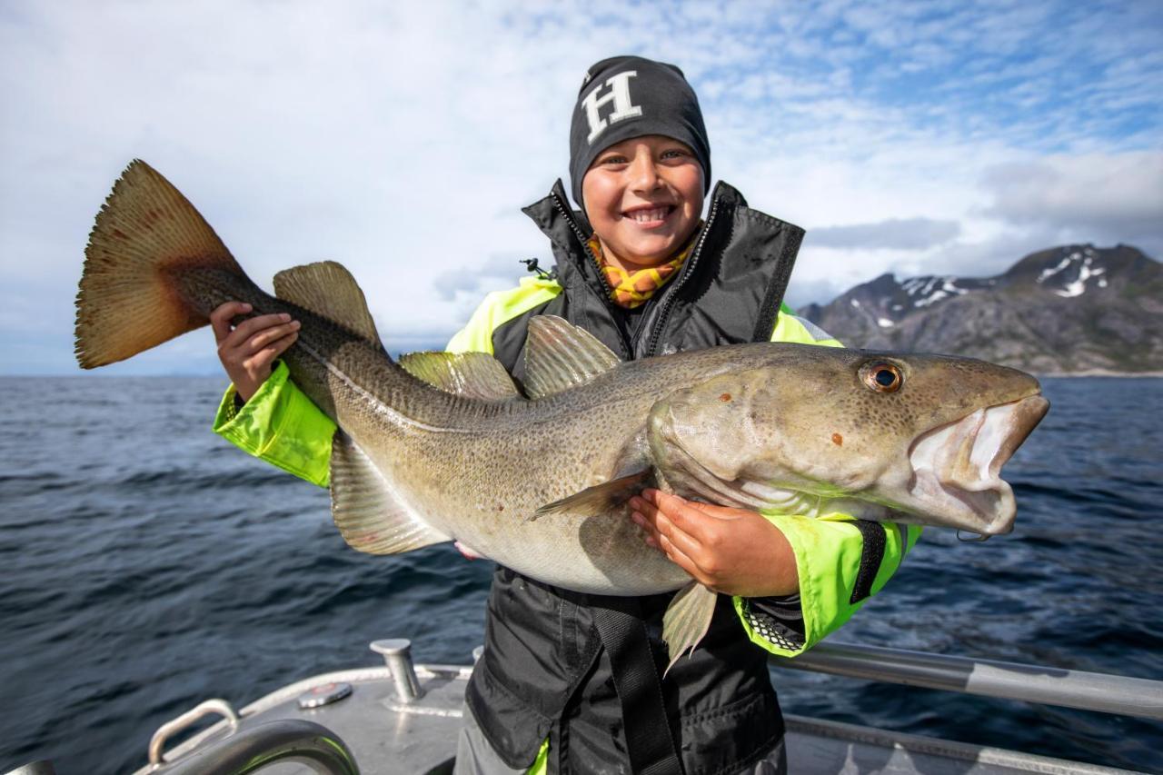 Lofoten Rorbu Lodge Offersoya Kültér fotó